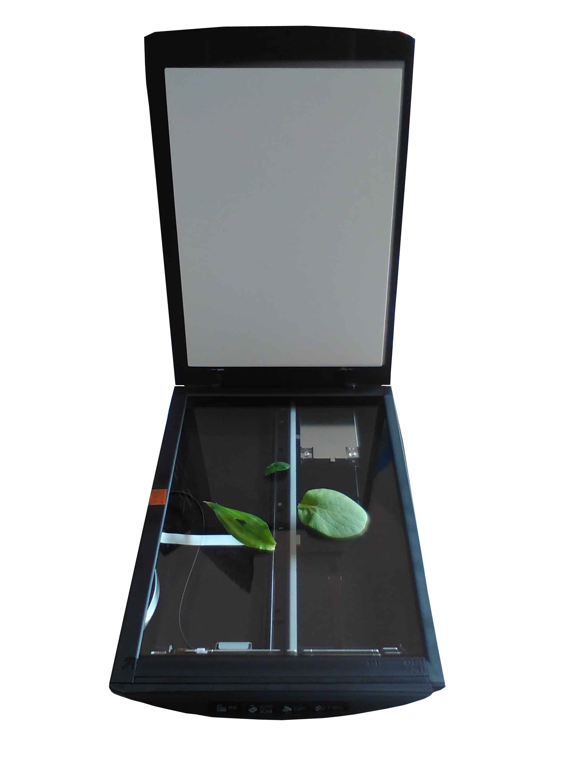 HZQ-F160�p��ȫ����ʎ���B(y��ng)���N�ۡ��Ϻ��p��