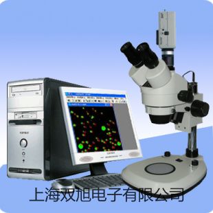 【雙旭牌】便攜式溶解氧分析儀JPBJ-608參數(shù)