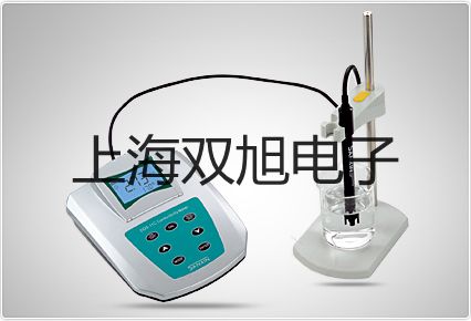 ���p���ơ������ƽPI-2002�r�� 