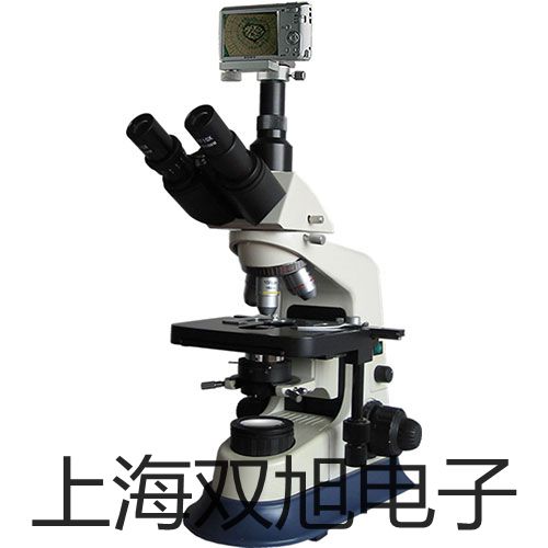 【雙旭牌】電子天平SECURA5102-1CN供應(yīng)商