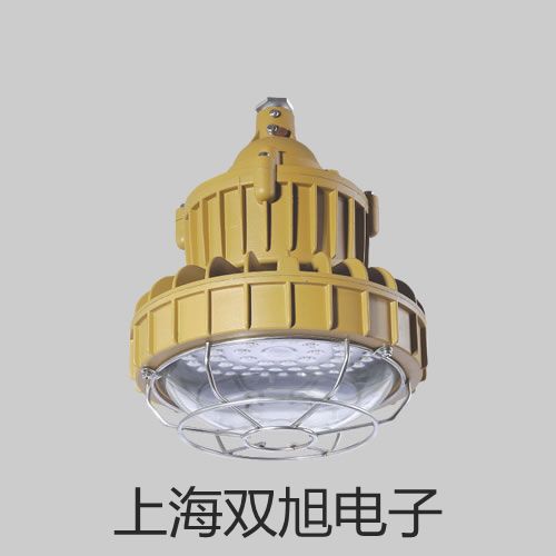 【雙旭牌】電子天平BT25S參數(shù)