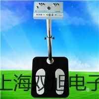 ���p���ơ������ƽYP1201������