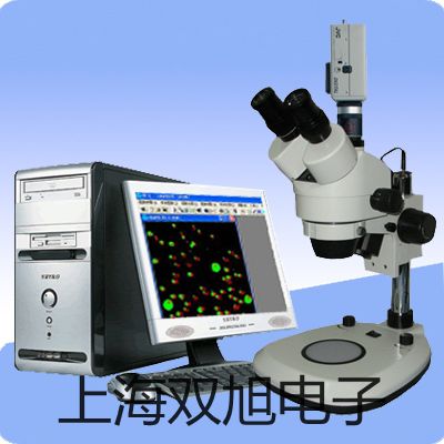 ���p���ơ������ƽCAV412�N��