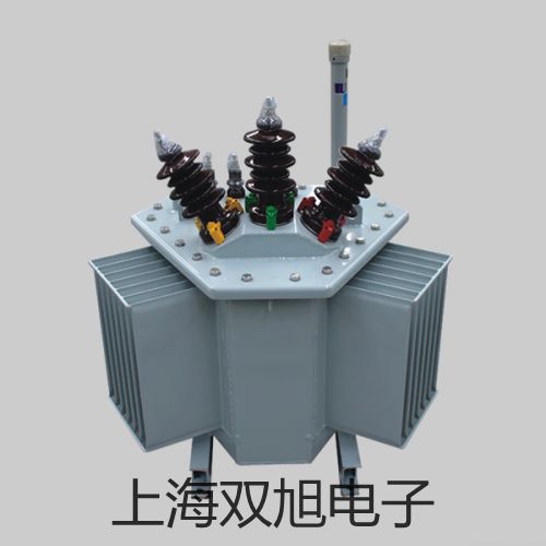 【雙旭牌】電子天平S-6002供應(yīng)商