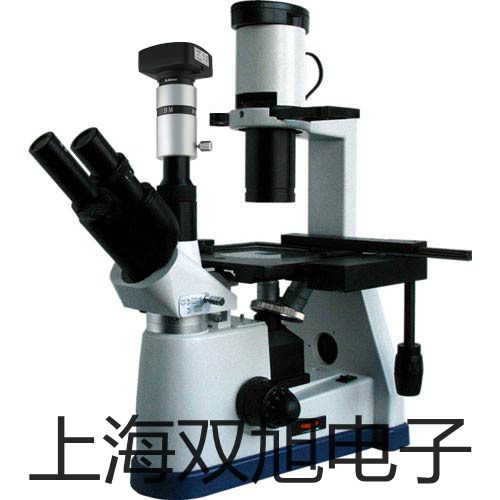 ���p���ơ������ƽSE2001F�r�� 