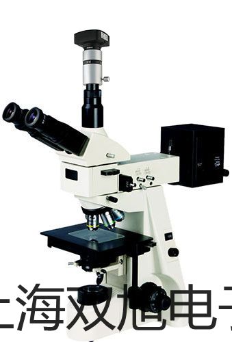 【雙旭牌】電子天平MXX-5參數(shù)