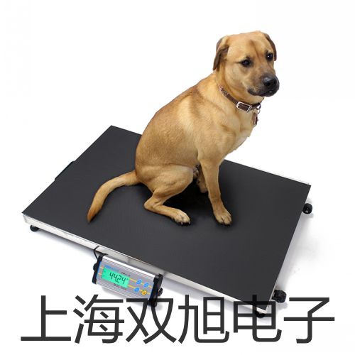 ���p���ơ������ƽY(ji��)P15K-1�N��