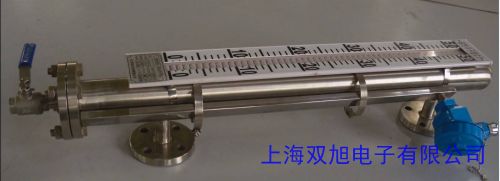 頂裝式磁翻柱磁性液位計