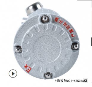 GH-BJ聲光報(bào)警器