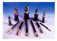 KVVP2 �~о������ϩ�^��������ϩ�o(h��)���~�����ο�����|/�r(ji��)��/���a(ch��n)�S��/KVVP2