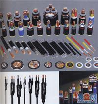 BXR �~о��Ƥ�^��ܛ늾�/�r��/���a�S��/BXR