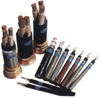 245IEC81(YH) 늺C(j)|/r(ji)/a(chn)S/245IEC81(YH)